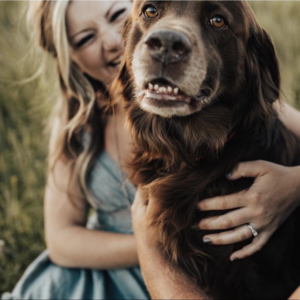 Meet your Posher, Miranda